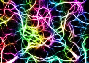 Neurons network